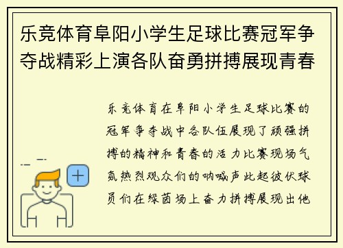 乐竞体育阜阳小学生足球比赛冠军争夺战精彩上演各队奋勇拼搏展现青春风采